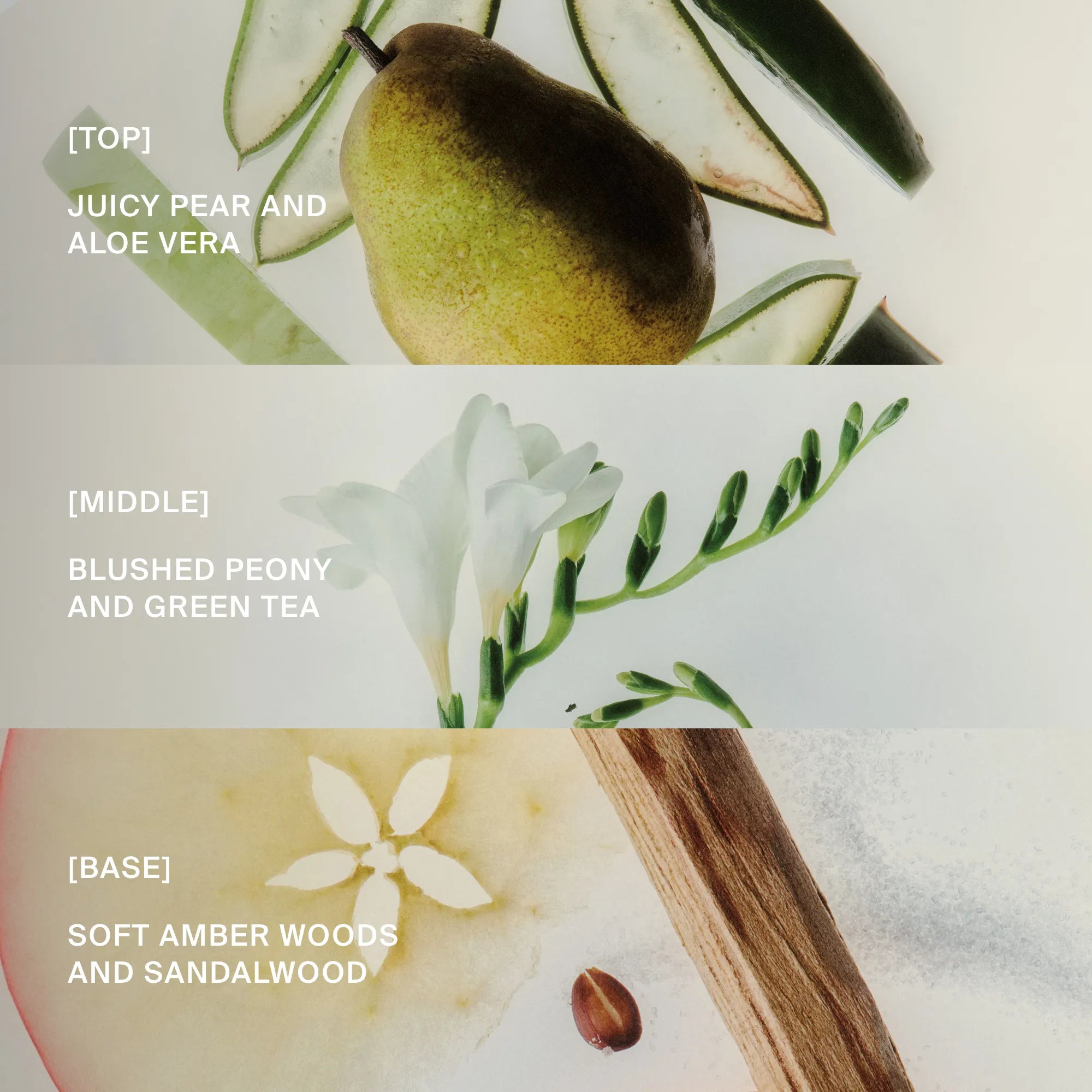 Perfect hair Day™ Sun-kissed Pear Advanced Clean Dry Shampoo - Image 4