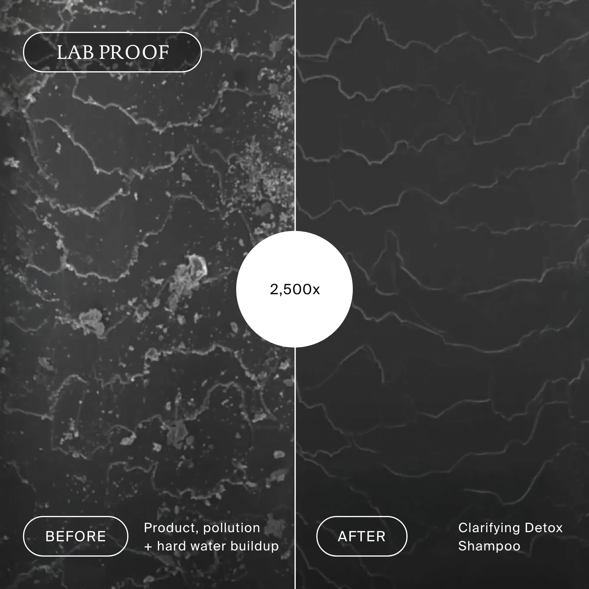 Clarifying Detox Shampoo - Image 6